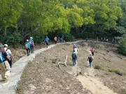 Thumbnail of P3020076.jpg