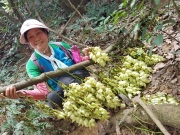 Thumbnail of P3020085.jpg