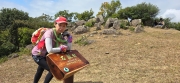Thumbnail of pic_CW_Ho_045.jpg
