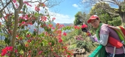 Thumbnail of pic_CW_Ho_052.jpg