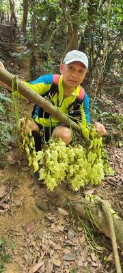 Thumbnail of pic_CW_Ho_074.jpg