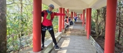Thumbnail of pic_CW_Ho_028.jpg