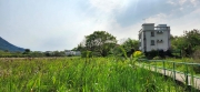 Thumbnail of pic_Si9_017.jpg