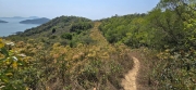 Thumbnail of pic_CW_Ho_040.jpg
