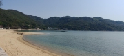 Thumbnail of pic_Cindy_Tse_005.jpg