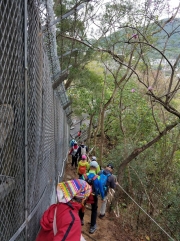 Thumbnail of P3300074.jpg