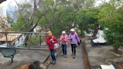 Thumbnail of pic_KL_Sin_056.jpg