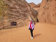 Thumbnail of P4110045.jpg