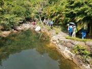 Thumbnail of P4200005.jpg