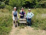 Thumbnail of P4200016.jpg