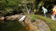 Thumbnail of pic_CW_Ho_007.JPG