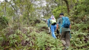 Thumbnail of pic_CW_Ho_008.JPG