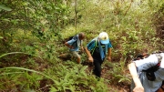 Thumbnail of pic_CW_Ho_009.JPG