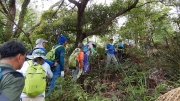 Thumbnail of pic_CW_Ho_012.JPG