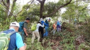 Thumbnail of pic_CW_Ho_013.JPG