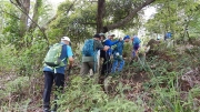 Thumbnail of pic_CW_Ho_014.JPG