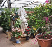 Thumbnail of pic_Lee_Shing_003.JPG