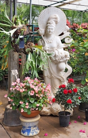 Thumbnail of pic_Lee_Shing_004.JPG