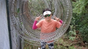 Thumbnail of pic_CW_Ho_084.JPG
