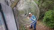 Thumbnail of pic_CW_Ho_093.JPG