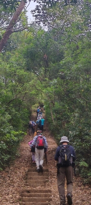Thumbnail of pic_Cindy_Tse_009.jpg