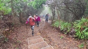 Thumbnail of pic_Derek_Wong_091.jpg