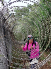Thumbnail of pic_Derek_Wong_115.jpg