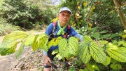 Thumbnail of pic_Derek_Wong_023.jpg