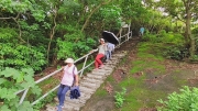 Thumbnail of pic_Derek_Wong_021.jpg