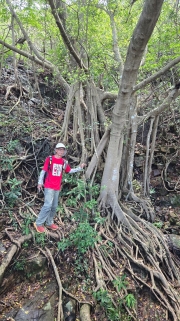 Thumbnail of pic_KW_Li_006.jpg