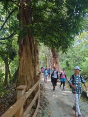 Thumbnail of pic_SK_Kwan_004.JPG