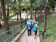 Thumbnail of P8100016.jpg