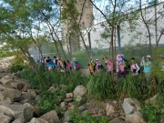 Thumbnail of P8100034.jpg