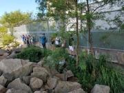Thumbnail of P8100043.jpg