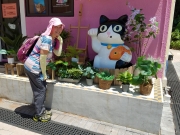 Thumbnail of P8100072.jpg