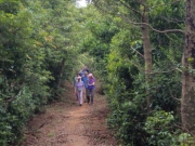Thumbnail of P8170008.jpg