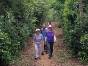 Thumbnail of P8170009.jpg