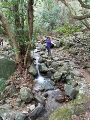 Thumbnail of P8170017.jpg