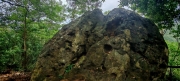 Thumbnail of pic_Cindy_Tse_006.jpg