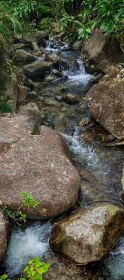 Thumbnail of pic_Cindy_Tse_011.jpg