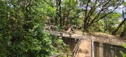 Thumbnail of pic_Derek_Wong_062.jpg