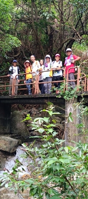 Thumbnail of pic_Mingle_Tam_010.jpg