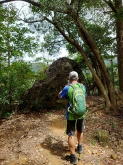 Thumbnail of pic_SK_Kwan_001.JPG