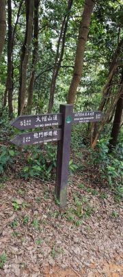Thumbnail of pic_XF_Liu_092.jpg