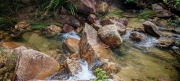 Thumbnail of pic_Cindy_Tse_017.jpg