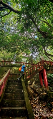 Thumbnail of pic_Cindy_Tse_007.jpg