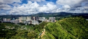 Thumbnail of pic_Cindy_Tse_019.jpg