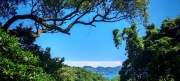 Thumbnail of pic_Cindy_Tse_022.jpg