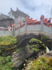 Thumbnail of 20250917_091.jpg