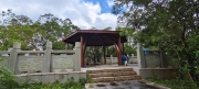 Thumbnail of pic_Derek_Wong_040.jpg